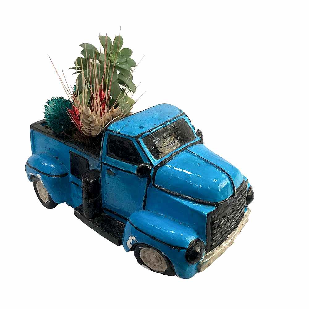 mini-kamyonet-tereryum