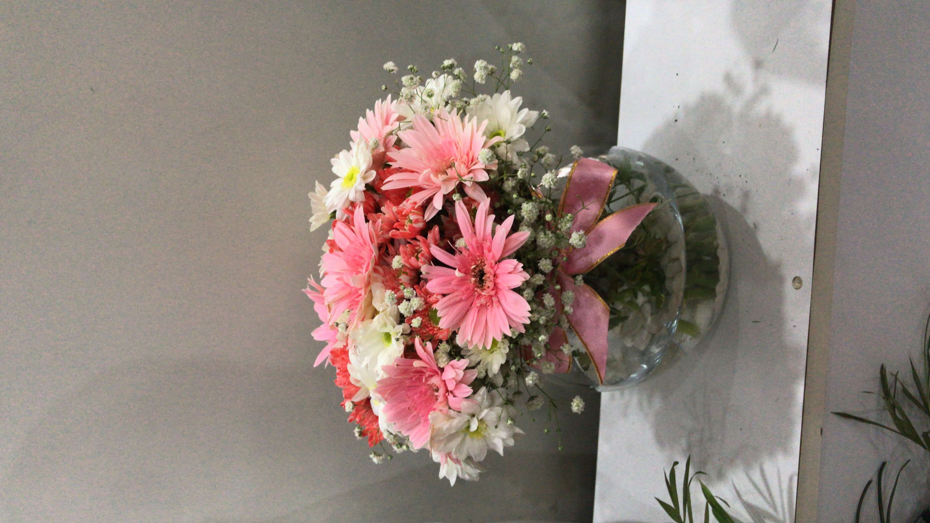 fanusta-gerbera-papatya-arajmani